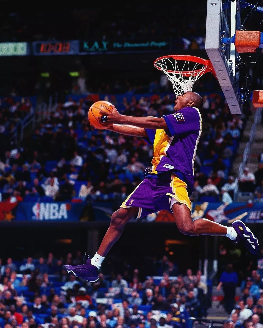 庭的温馨 庭的温馨